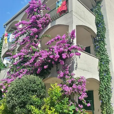 Pisak Apartament *