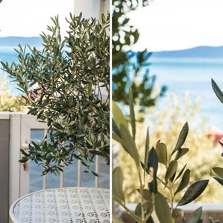 Pisak Apartament Omiš